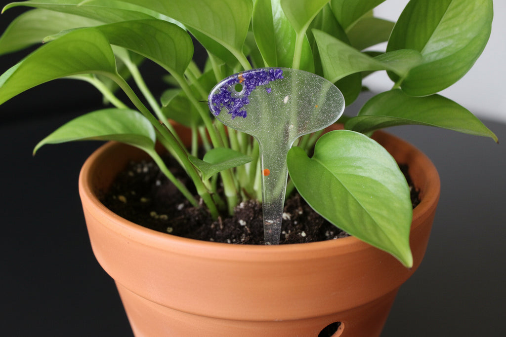 Glitter Resin Plant Stake
