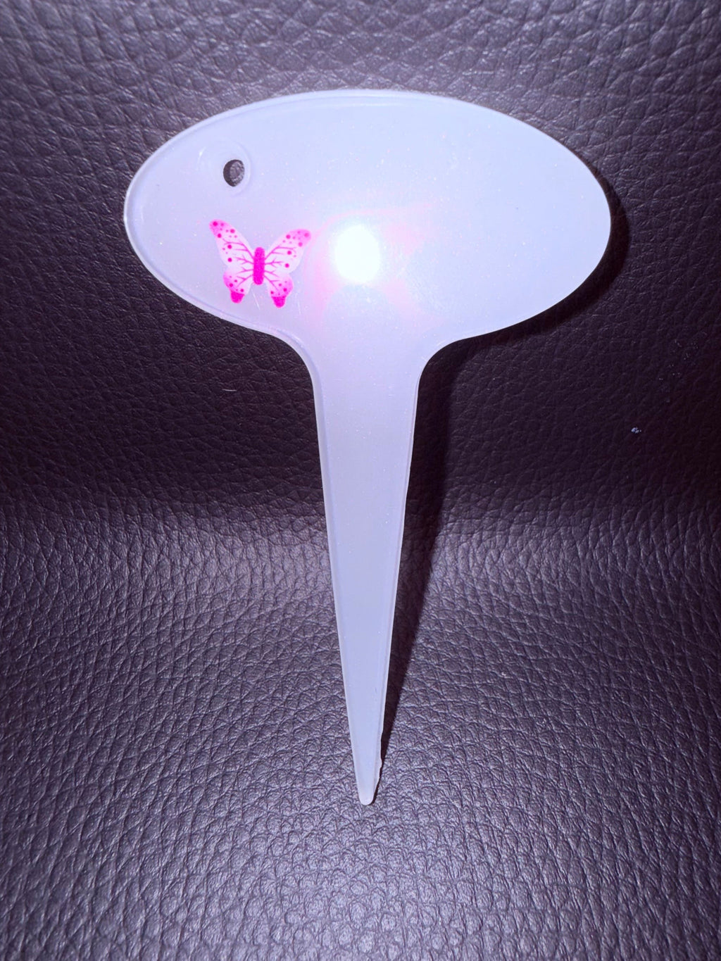 Butterfly Plant name Stake