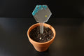 Glitter Resin Plant Stake